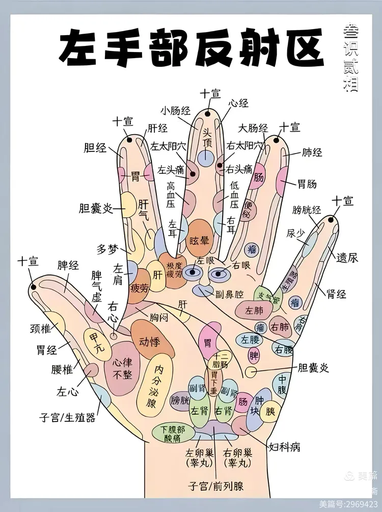 脚全息,面部全息,手全息,背部全息,耳朵全息穴位